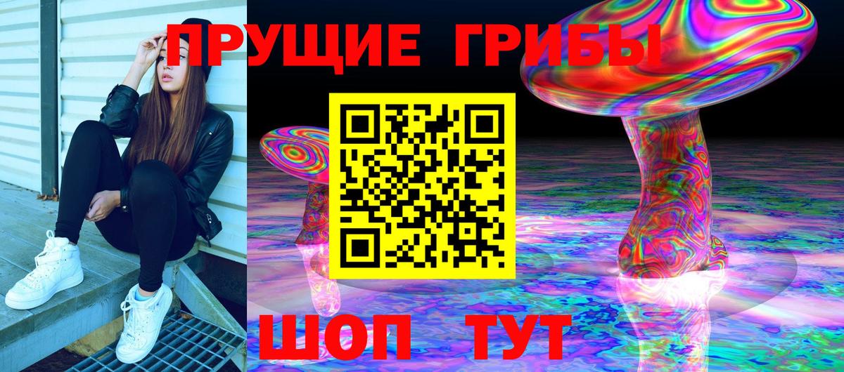 Галлюциногенные грибы Psilocybe Новомосковск