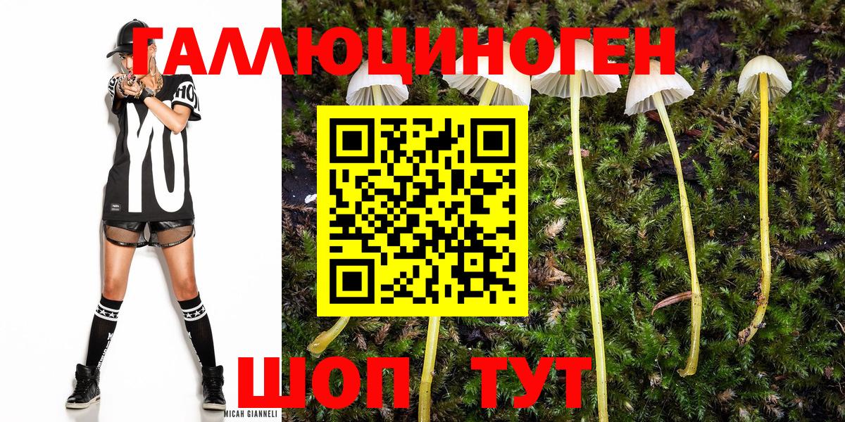 Псилоцибиновые грибы мицелий  Псилоцибиновые грибы Psilocybine cubensis  Новомосковск  Вход с VPN 